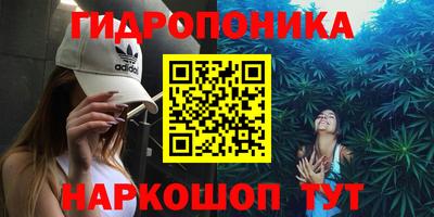 ECSTASY Бердск