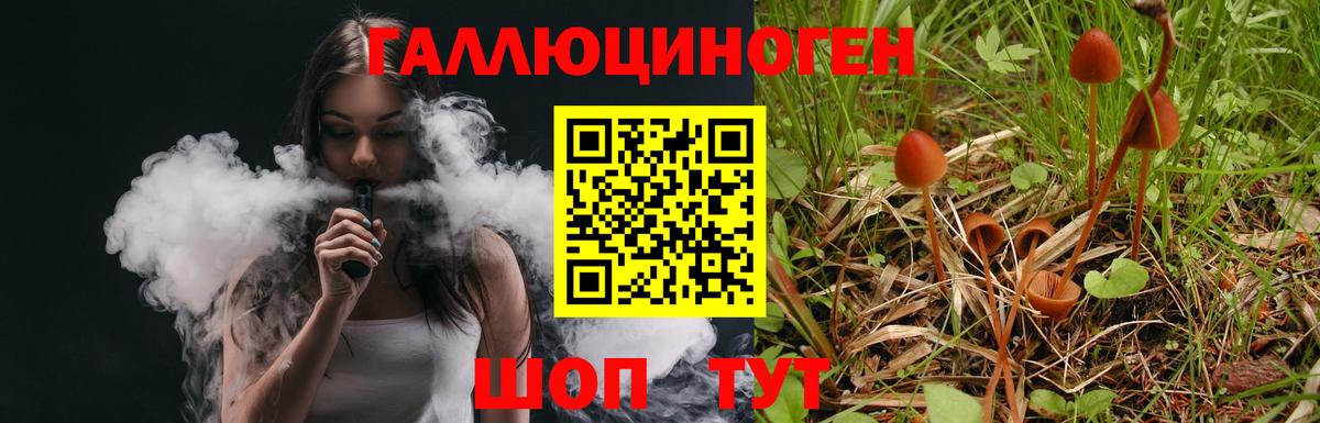 Псилоцибиновые грибы прущие грибы  Вход с VPN  Владимир  Галлюциногенные грибы мухоморы 